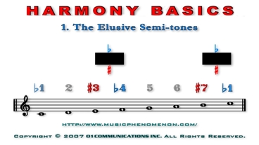 The Elusive Semitones